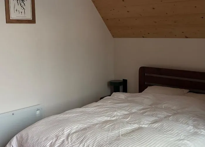 Za Krzemionka 別荘 *